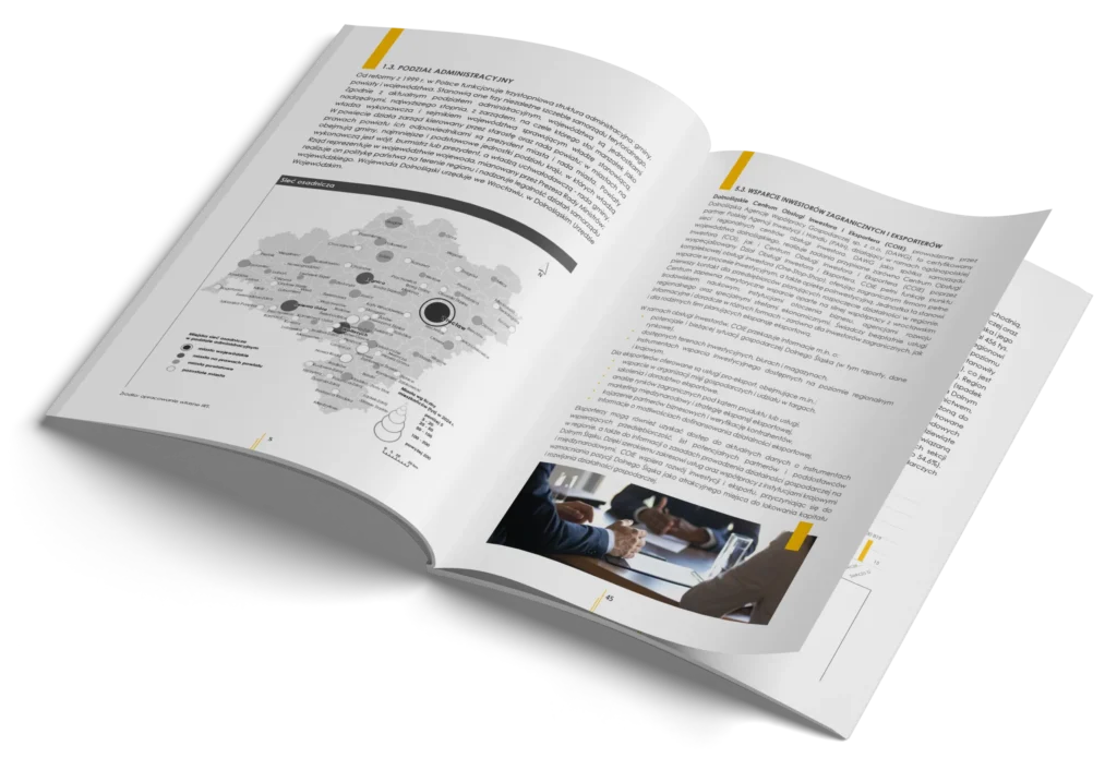 mobile raport scaled 1