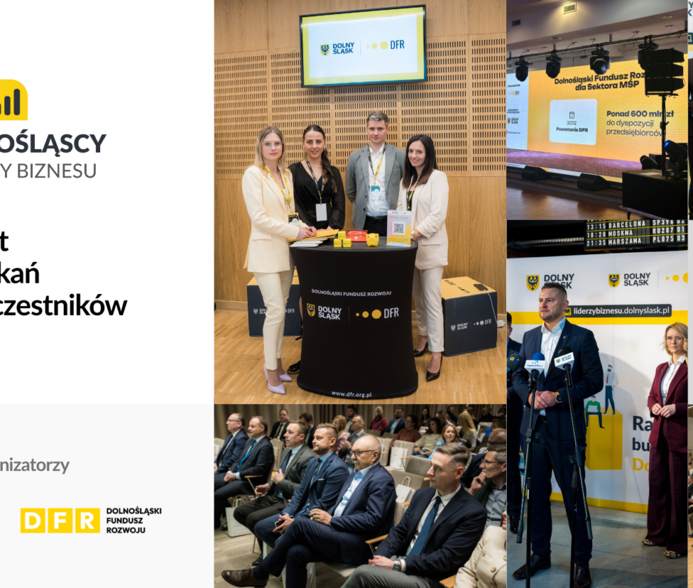 DLB grafika podsumowanie 1 990x840